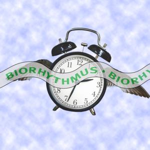 Biorhythmus