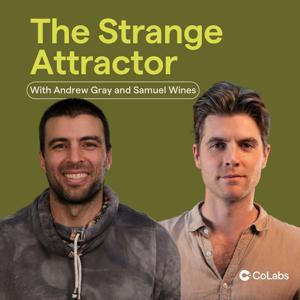 The Strange Attractor