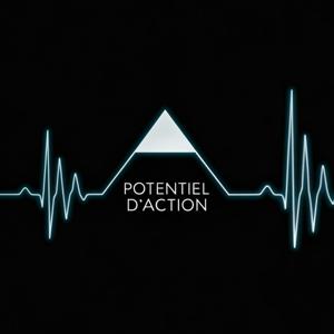Potentiel d'Action