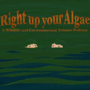 Right Up Your Algae