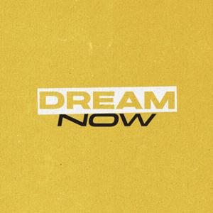 Helps For HOSTs: Saddleback Small Groups Dream Now Series