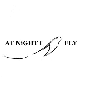 At Night I Fly