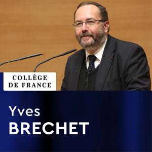 Innovation technologique Liliane Bettencourt (2012-2013) - Yves Brechet