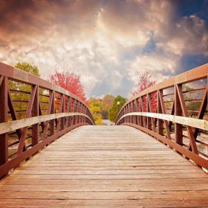 Mental Health Freedom Fighter