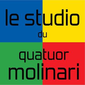 Le studio du Quatuor Molinari