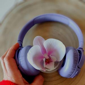 Dziennik motywacyjny