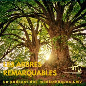 Les Arbres remarquables