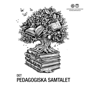 Det pedagogiska samtalet