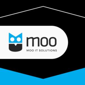 MooIT Insights