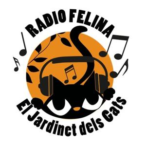 RADIO FELINA