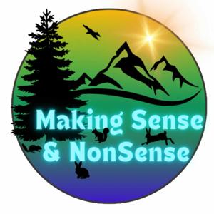 Making Sense and Nonsense