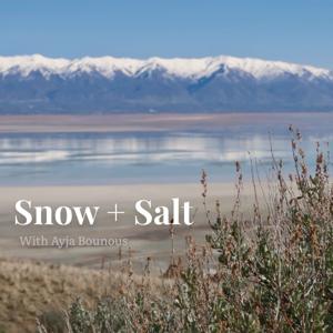 Snow and Salt