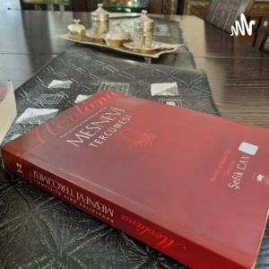 Mesnevi Sohbetleri