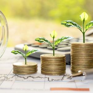 The Insightful Investor