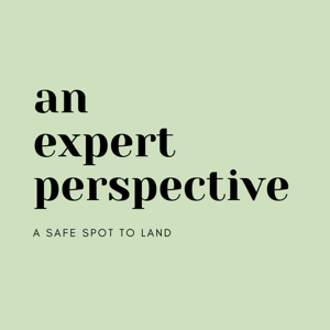 A Safe Spot to Land: An Expert Perspective