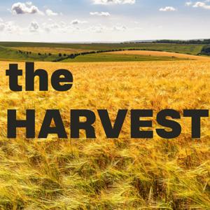 The Harvest