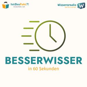 Besserwisser in 60 Sekunden