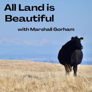 All Land is Beautiful
