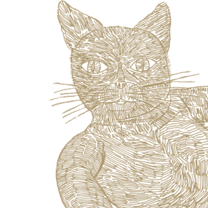 Tribina Razotkrivanja