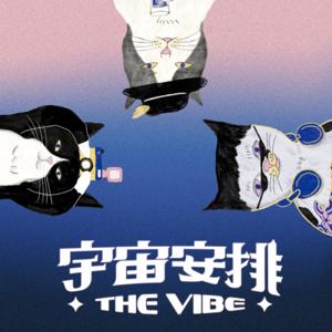 The Vibe 宇宙安排