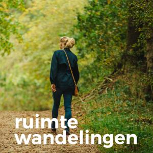 Ruimtewandelingen