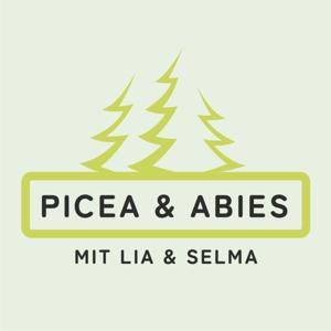 Picea und Abies