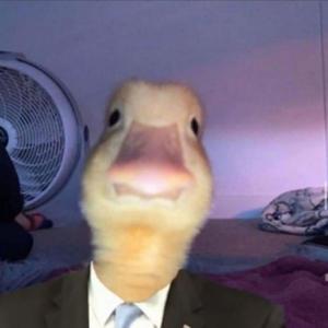 Encuentra los sonidos secretos