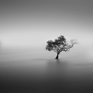 Morning Coffee & Life Talks