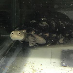 南高中生的幹話日常