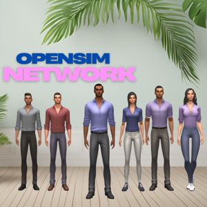 Opensim Network, Virtual World