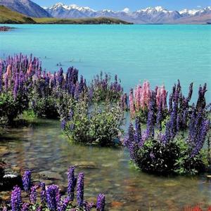 THE-FAITH-PROJECT....