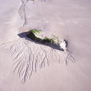 Nos chemins dans des traces