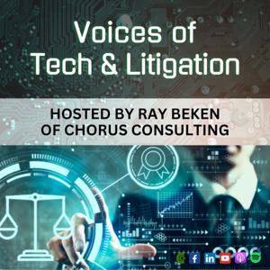 Voices of Tech and Litigation