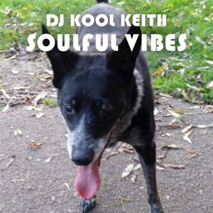 DJ Kool Soulful Vibes
