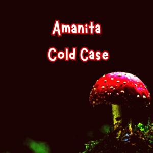 Amanita Cold Case