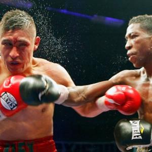 Boxeador por un dia