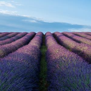 TRANSFORMANDO TERRITORIOS EN COLOMBIA