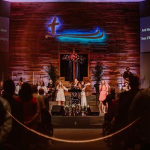Crystal River COG