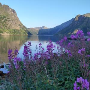 Bryan erklärt die Welt