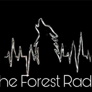 THE FOREST RADIO