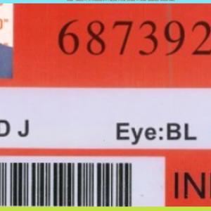 WE MAKE 'SHORT' PODCASTS  ——–  DAMN THE TORPEDOS — FULL-SPEED AHEAD — 'LIQUIDATE' TRUMP!!!  ————————