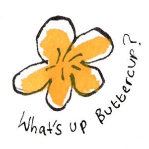 What's Up Buttercup?