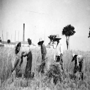 Debate sobre la Reforma Agraria