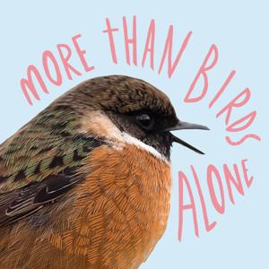 More Than Birds Alone