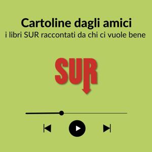 Cartoline dagli amici