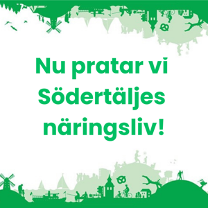 Nu pratar vi näringsliv, Södertäljes näringsliv.