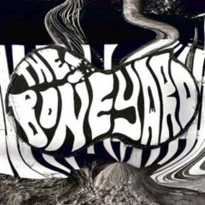 Pelvis Escondido - Party at the Boneyard