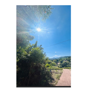La vida en el rancho