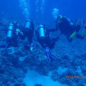 Deep Blue Freedom