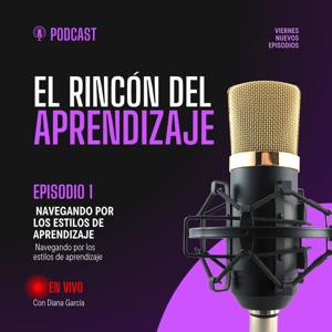 navegando por los estilos de aprendizaje